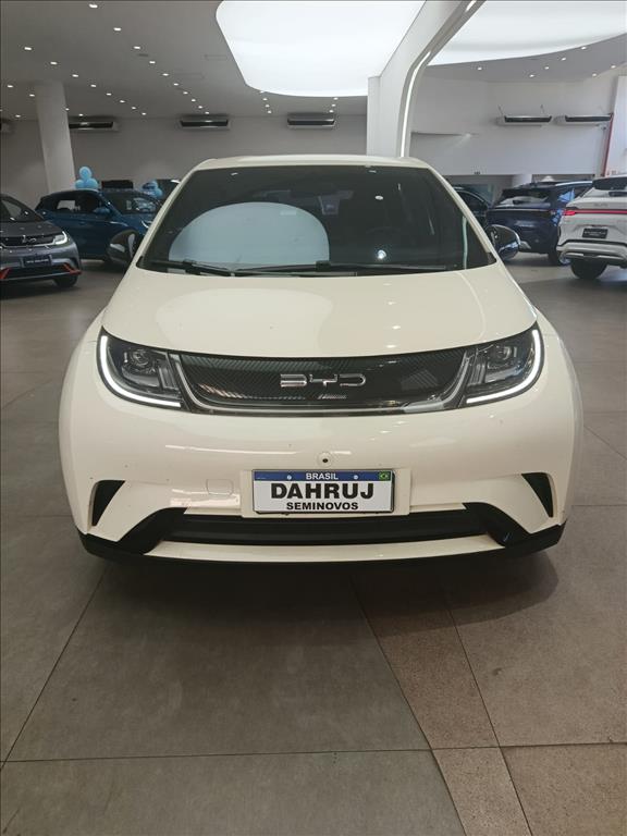 DOLPHIN 44,9 KW ELÉTRICO1
