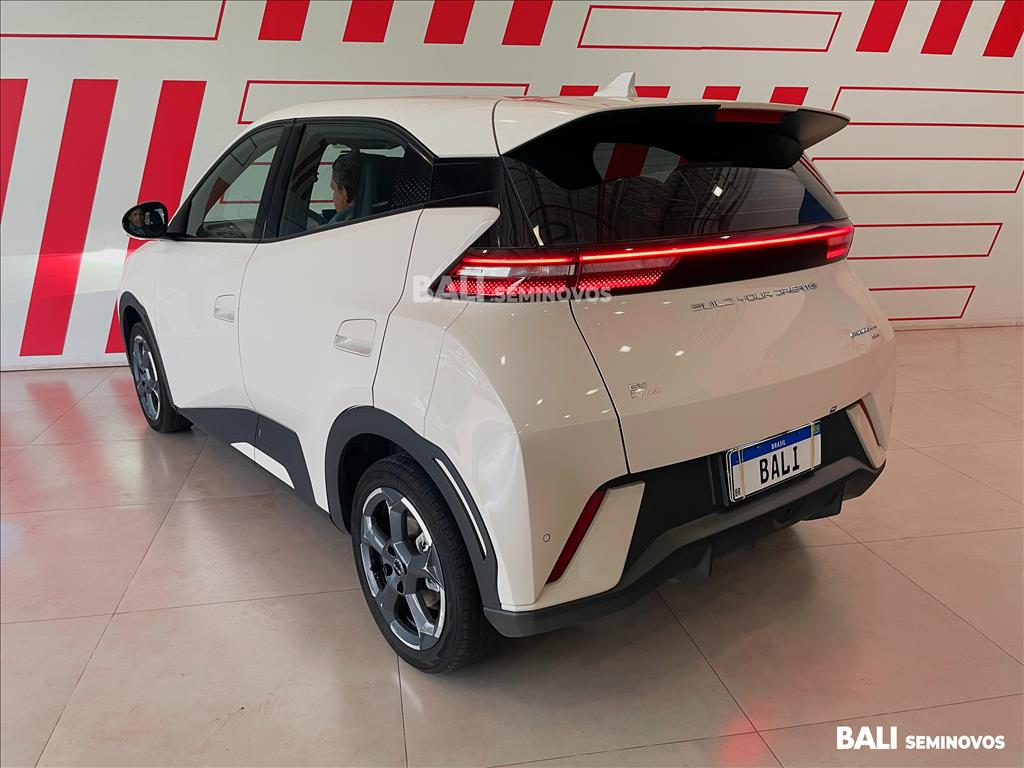 DOLPHIN MINI 38 KW ELÉTRICO4