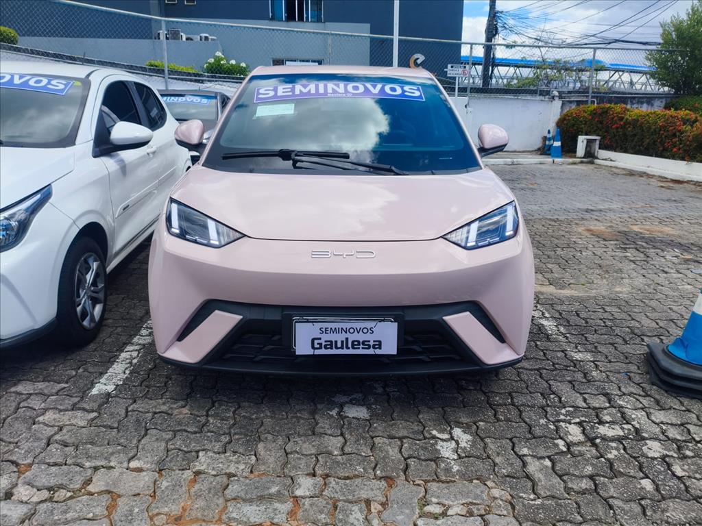 DOLPHIN MINI 38 KW ELÉTRICO 5L2