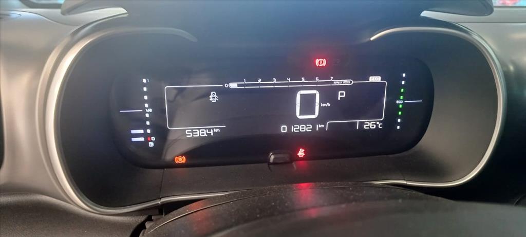 C4 CACTUS 1.6 THP FLEX SHINE PACK EAT66