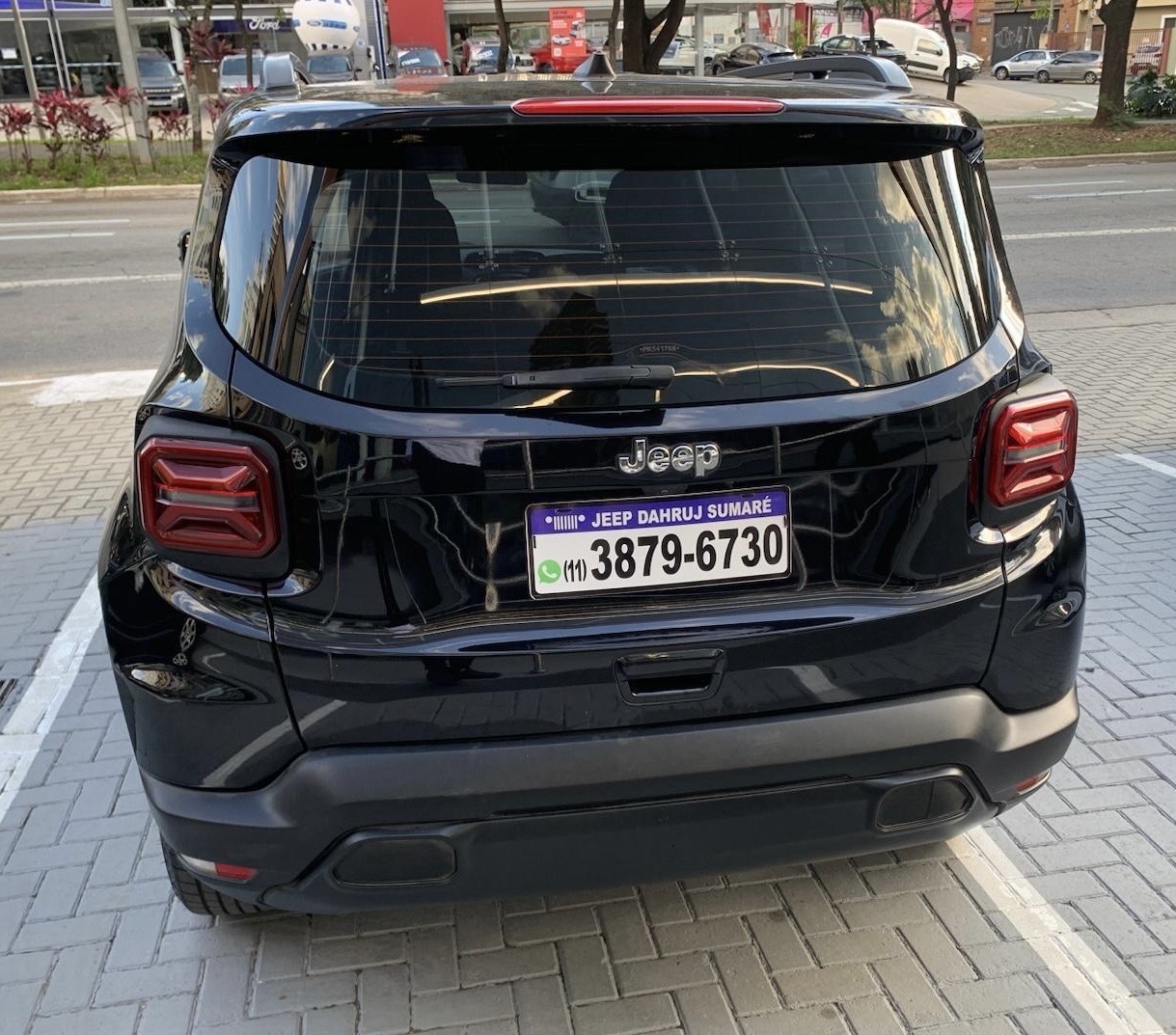 RENEGADE 1.3 T270 TURBO FLEX AT613