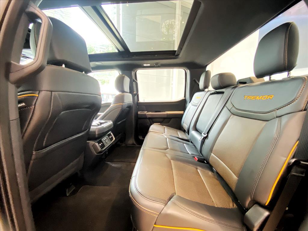 Ford-F-150-5.0 V8 GASOLINA CD TREMOR FX4 AUTOMÁTICO