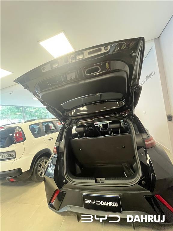 DOLPHIN MINI 38 KW ELÉTRICO11