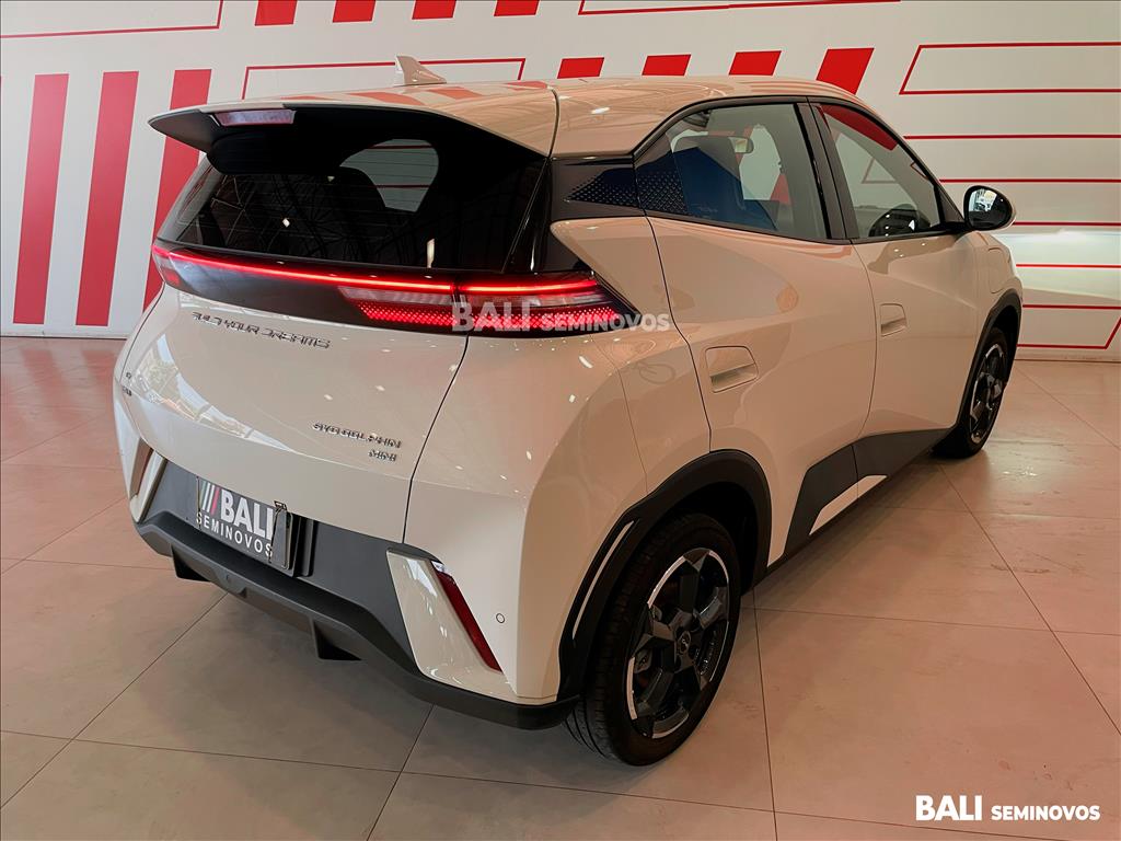 DOLPHIN MINI 38 KW ELÉTRICO6