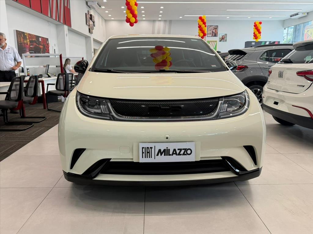 DOLPHIN 44,9 KW ELÉTRICO1