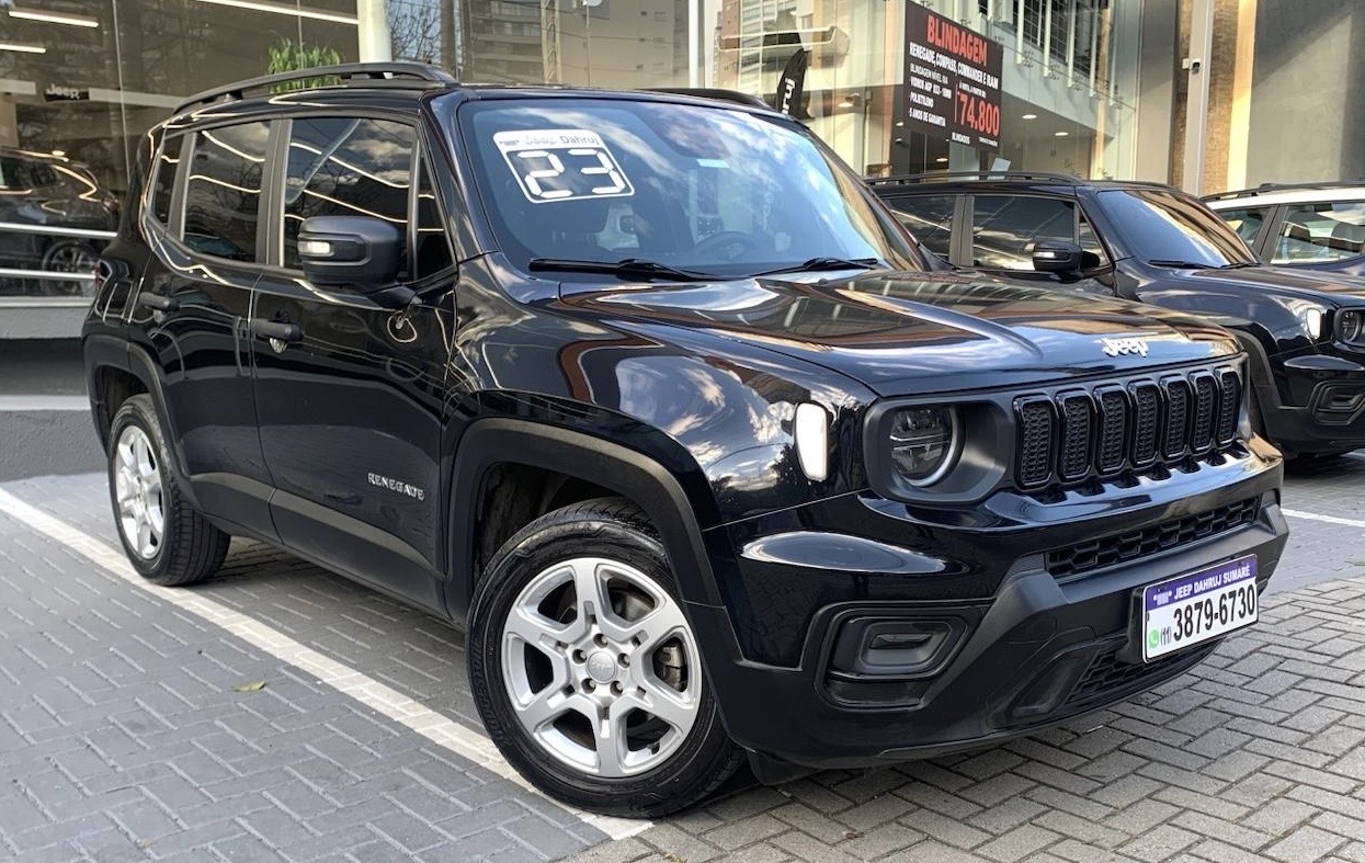 RENEGADE 1.3 T270 TURBO FLEX AT69
