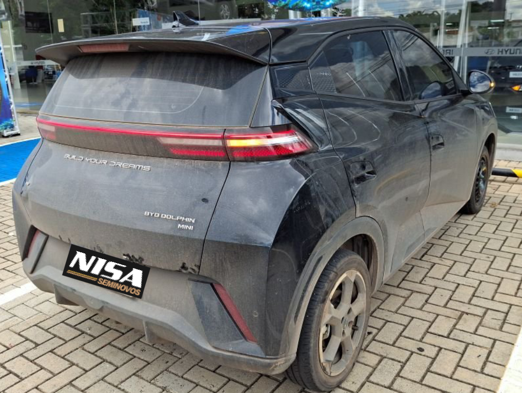 DOLPHIN MINI 38 KW ELÉTRICO1