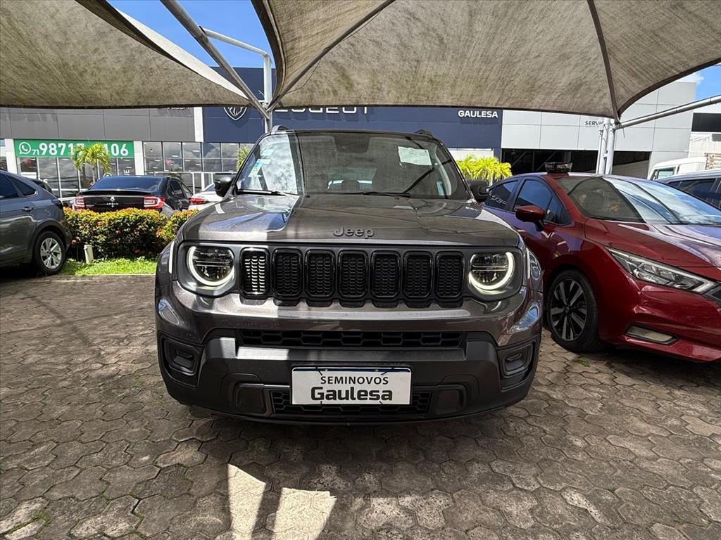 RENEGADE 1.3 T270 TURBO FLEX SAHARA AT61