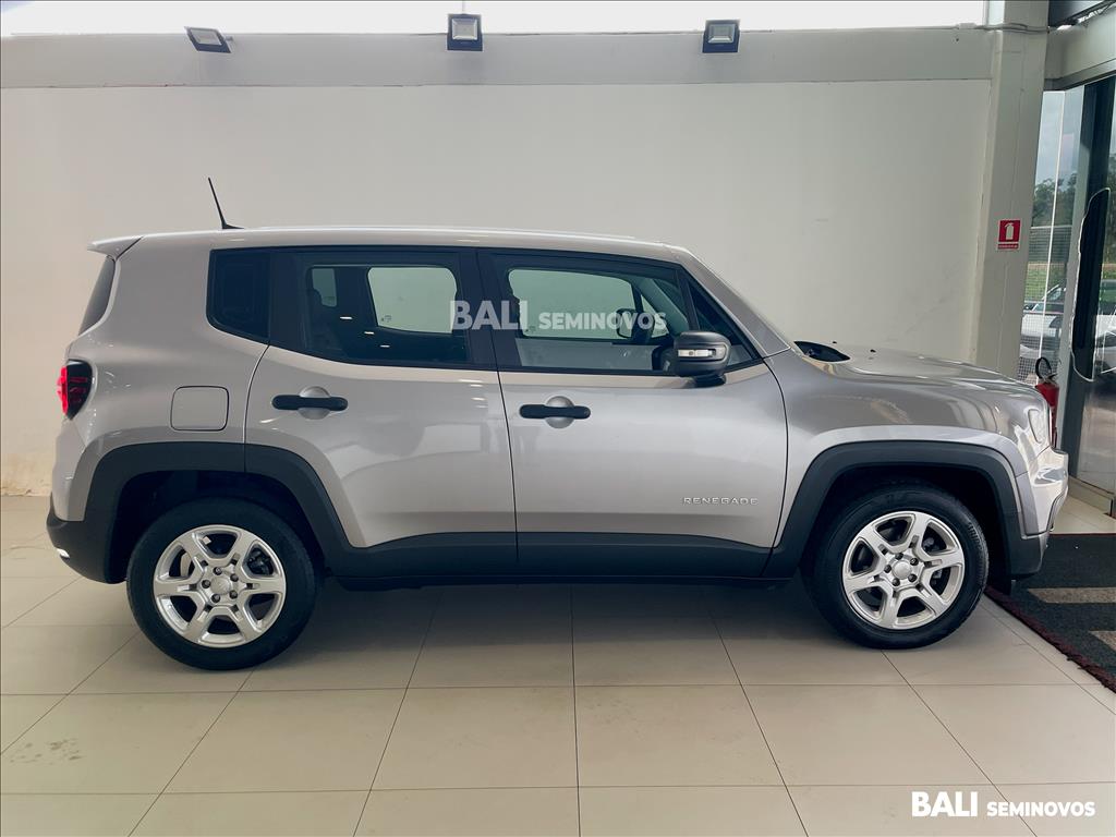 RENEGADE 1.3 T270 TURBO FLEX AT63