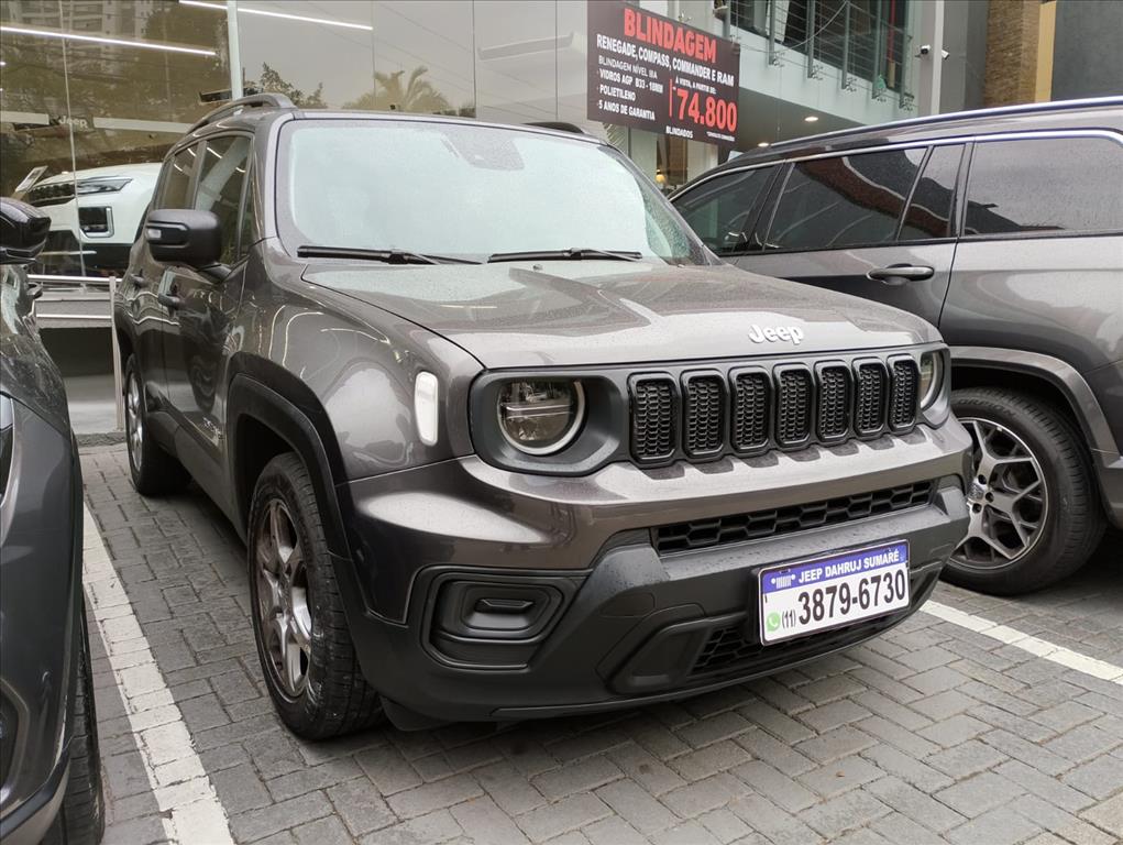RENEGADE 1.3 T270 TURBO FLEX AT616