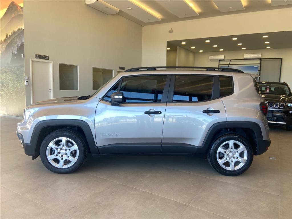 RENEGADE 1.3 T270 TURBO FLEX AT613