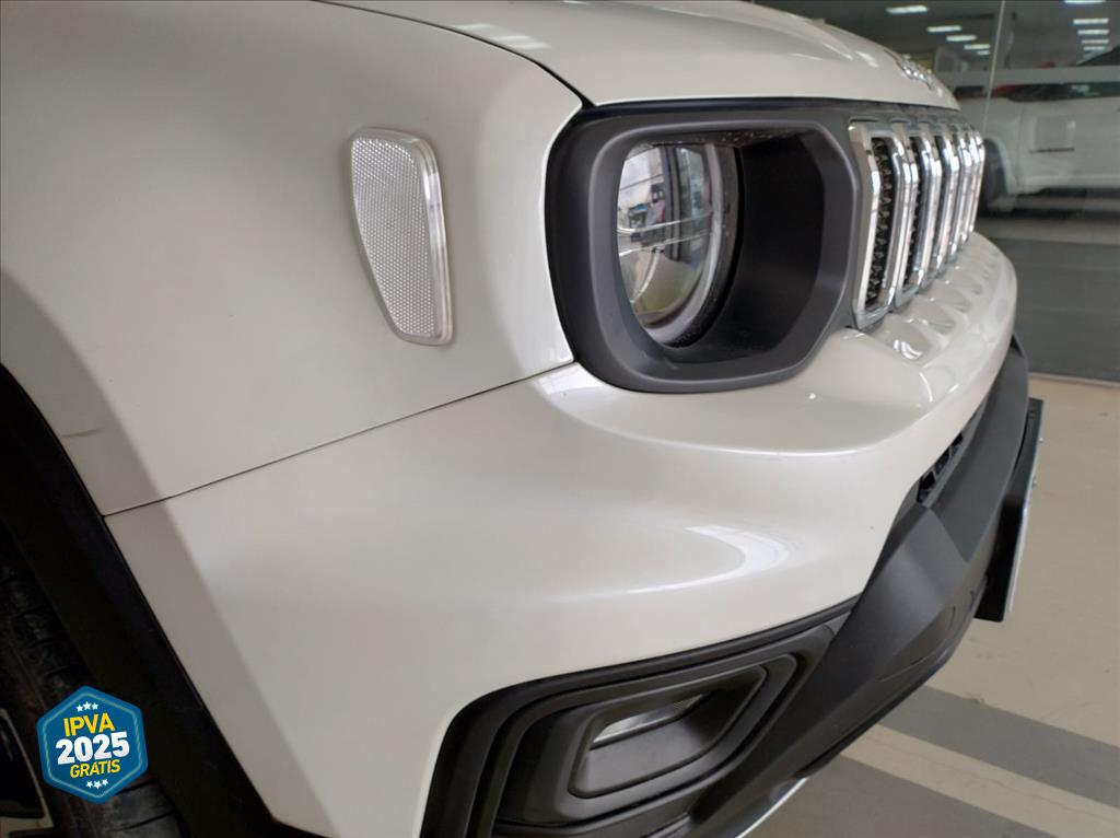 RENEGADE 1.3 T270 TURBO FLEX SAHARA AT610