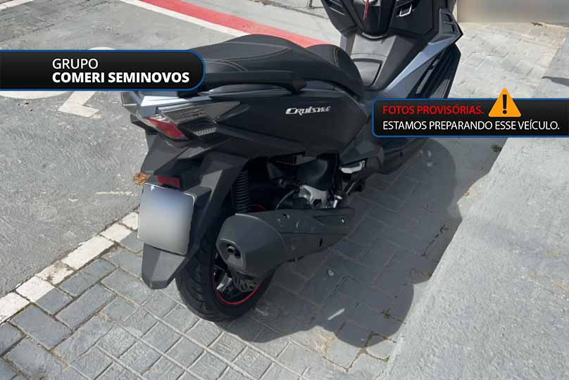 CRUISYM 300