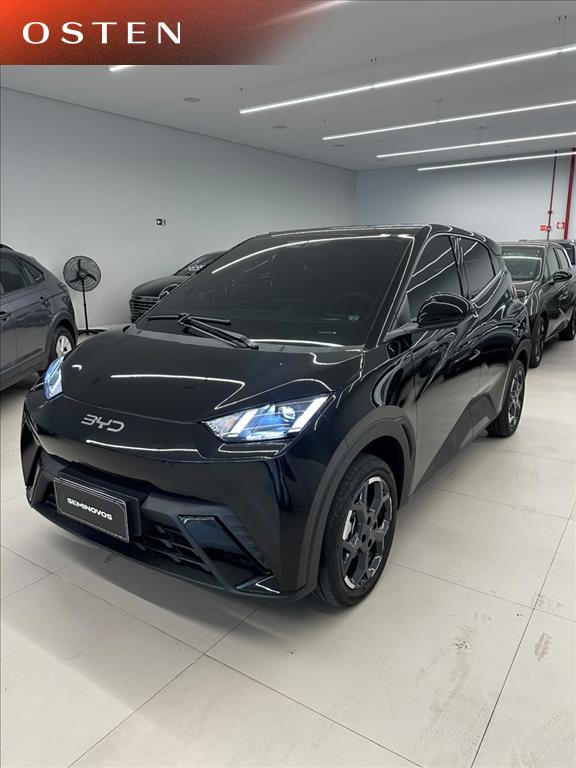 BYD-DOLPHIN MINI-38 KW ELÉTRICO GL