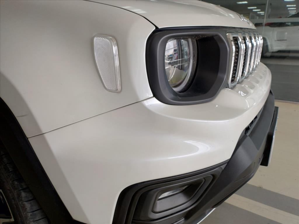 RENEGADE 1.3 T270 TURBO FLEX SAHARA AT610