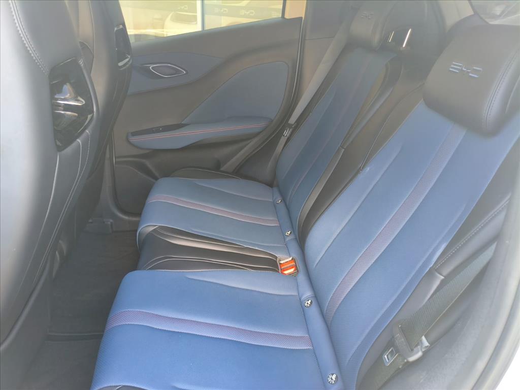 DOLPHIN MINI 38 KW ELÉTRICO17