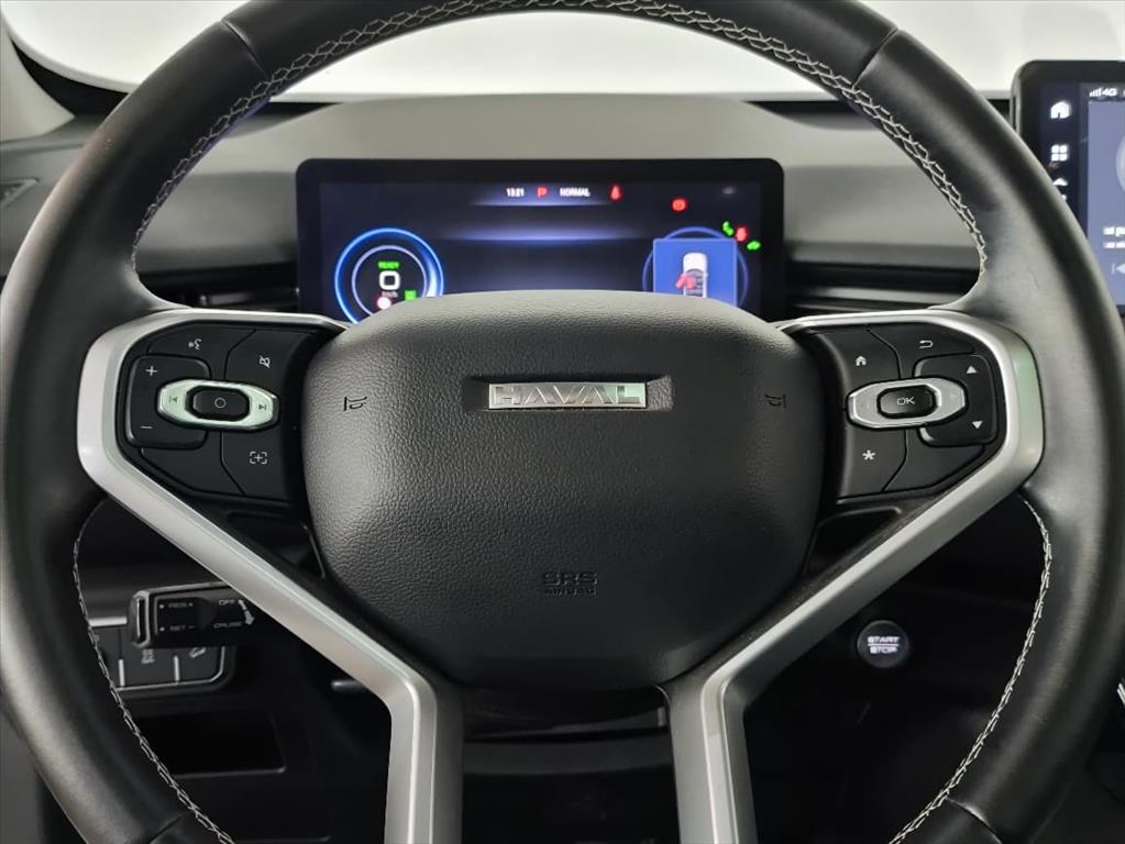 HAVAL H6 1.5 HEV PREMIUM E-TRACTION8