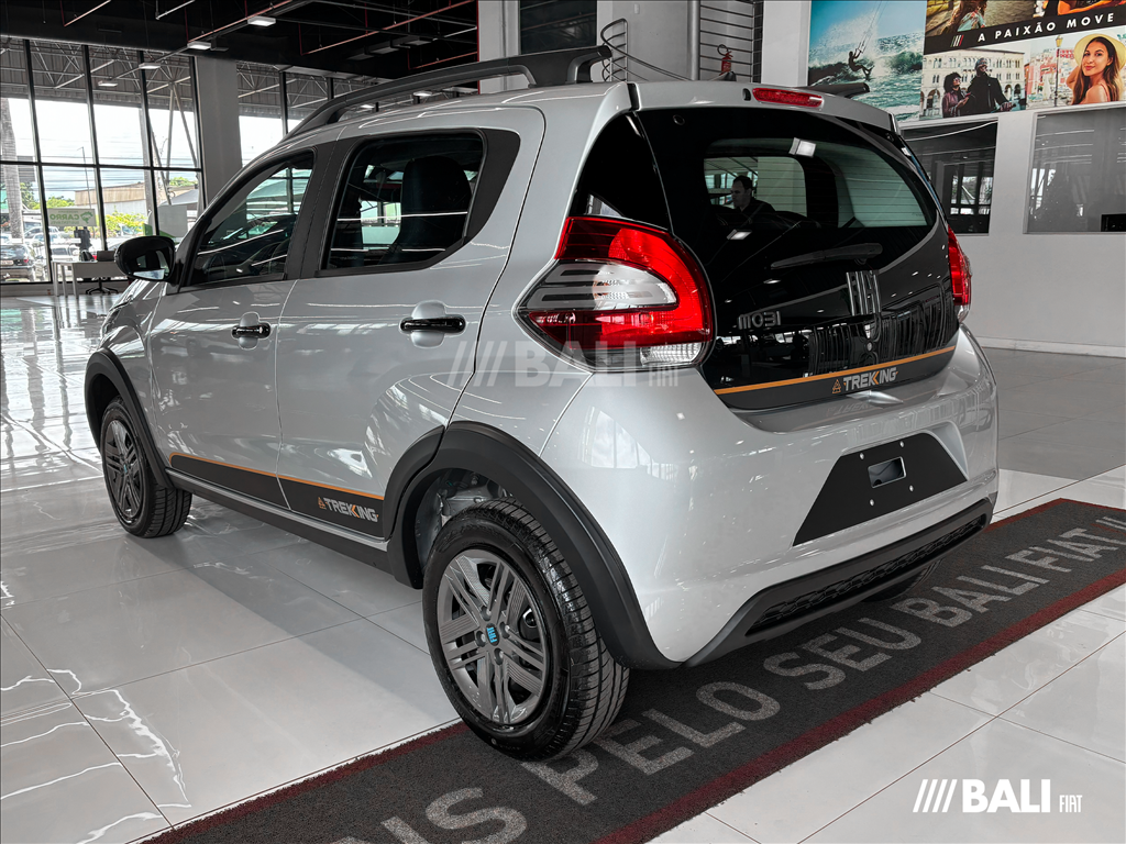 MOBI 1.0 FIREFLY FLEX TREKKING MANUAL5