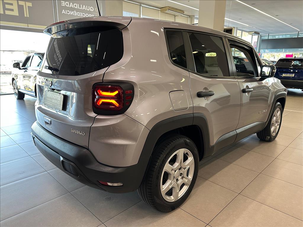 RENEGADE 1.3 T270 TURBO FLEX AT611