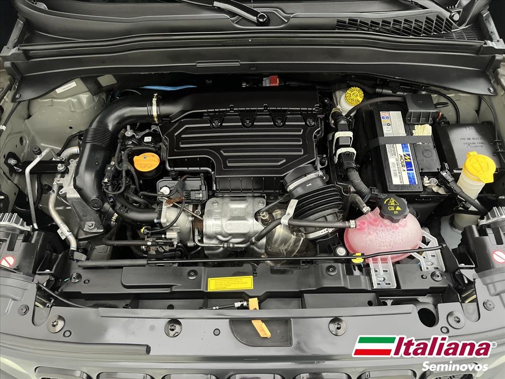 RENEGADE 1.3 T270 TURBO FLEX AT614