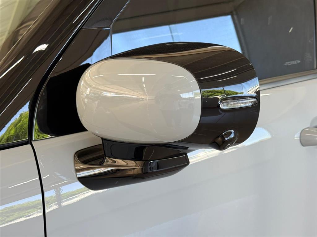 SPARK EUV 42 KW ELÉTRICO12