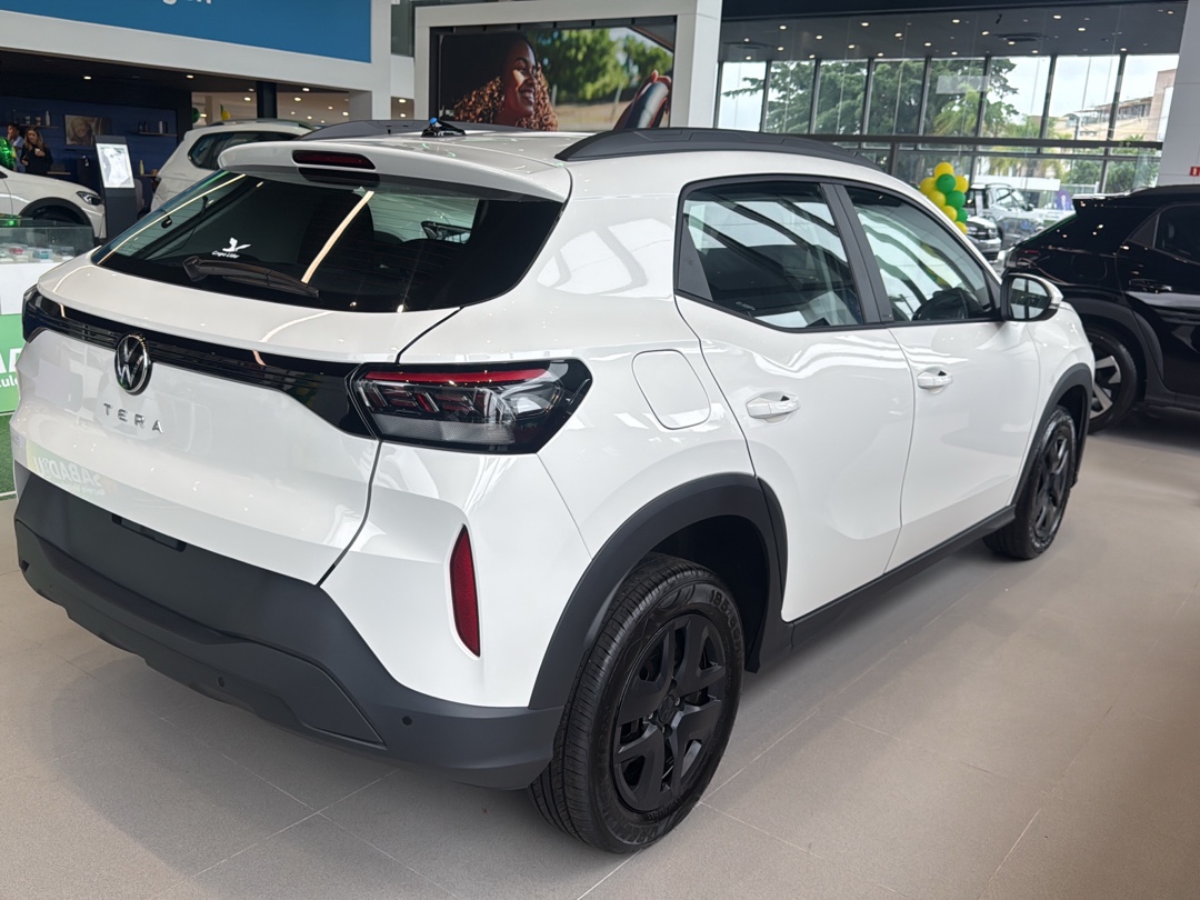 TERA 1.0 MPI MANUAL2