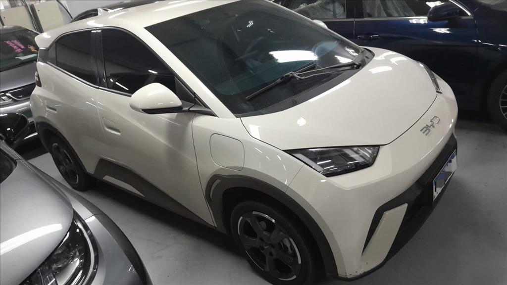 DOLPHIN MINI 38 KW ELÉTRICO1