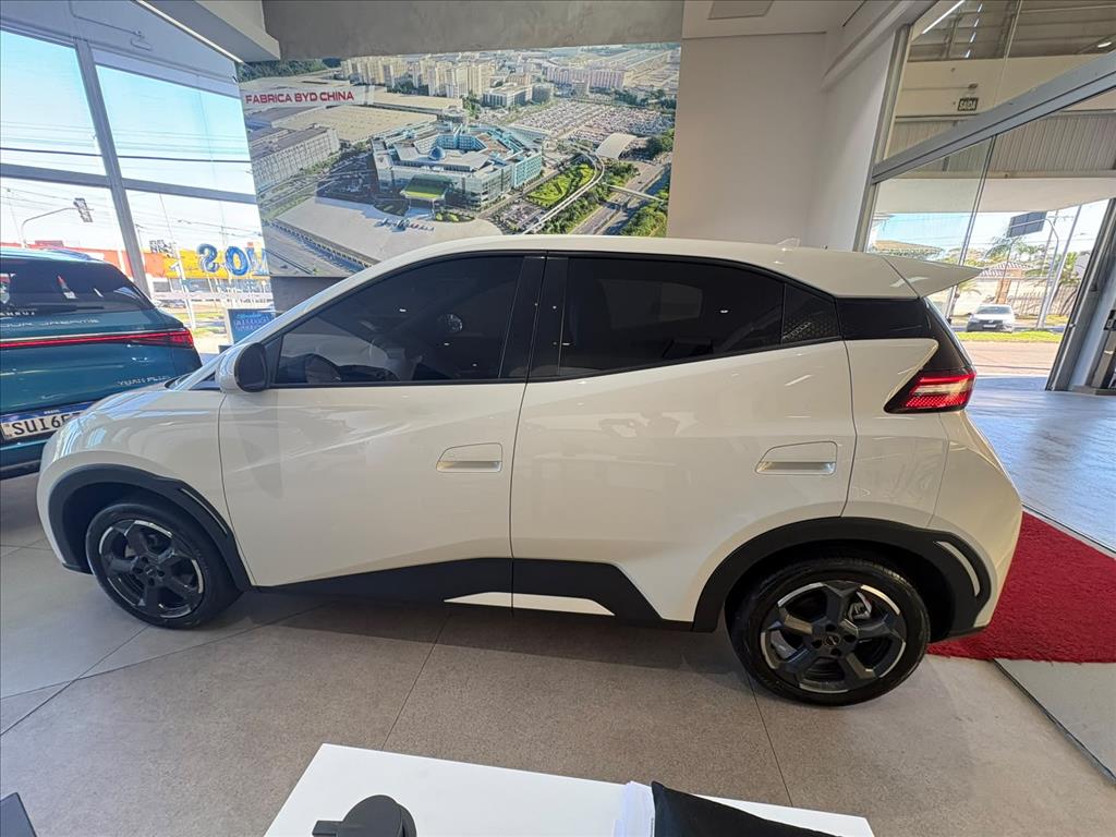 DOLPHIN MINI 38 KW ELÉTRICO8