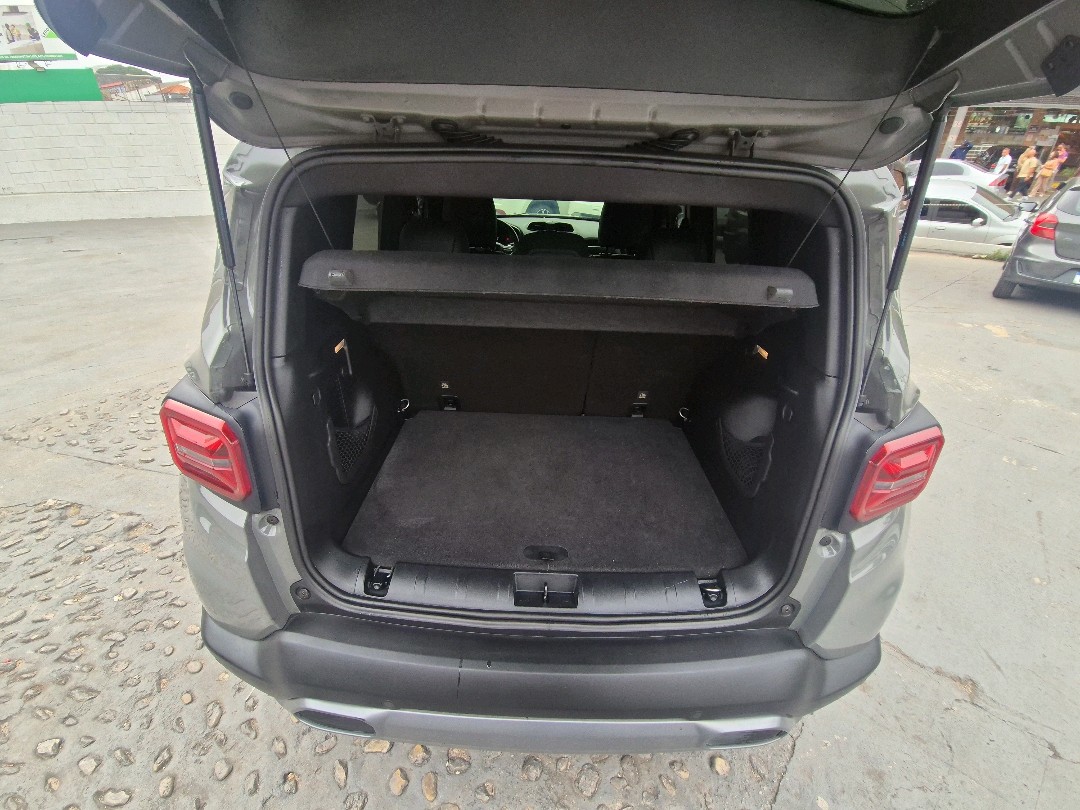 RENEGADE 1.3 T270 TURBO FLEX S 4X4 AT96