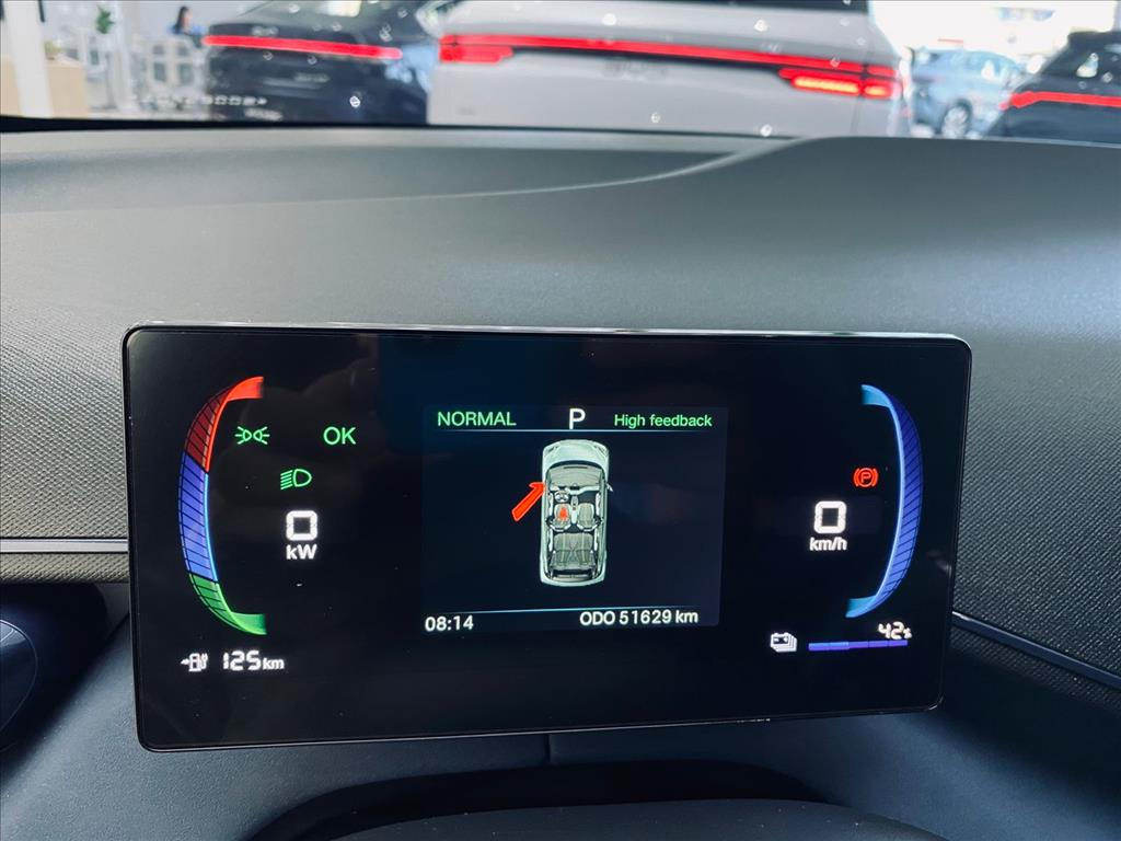 DOLPHIN MINI 38 KW ELÉTRICO11