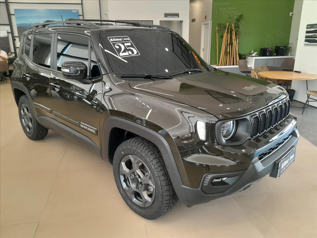 RENEGADE 1.3 T270 TURBO FLEX WILLYS 4X4 AT94