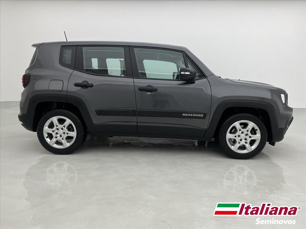 RENEGADE 1.3 T270 TURBO FLEX AT65