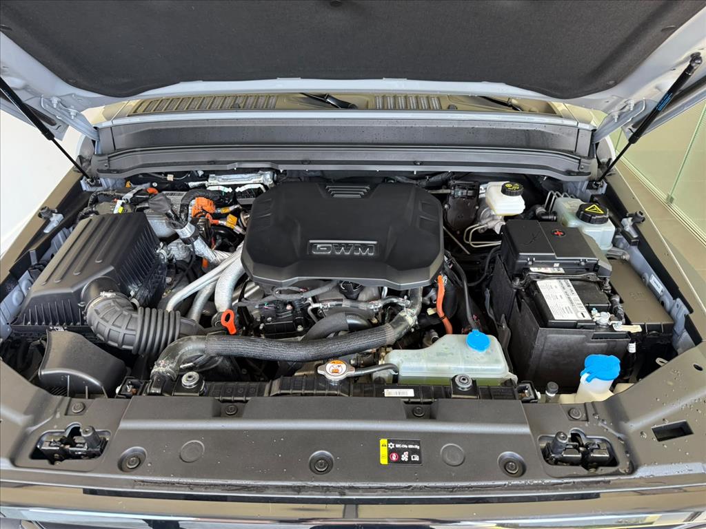 TANK 300 2.0 HI4-T PHEV 4X4 9HAT12