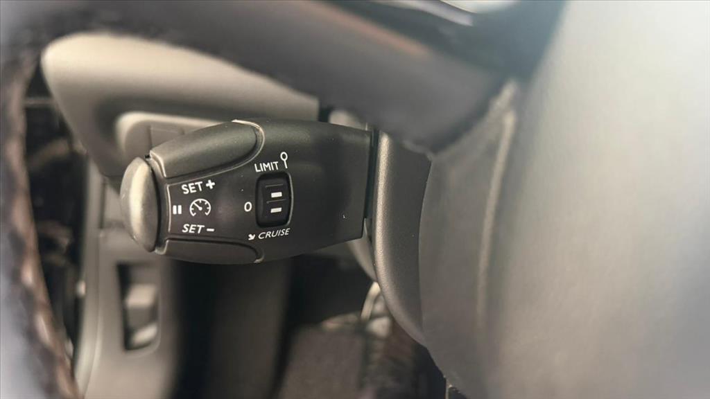 C4 CACTUS 1.6 THP FLEX SHINE PACK EAT617