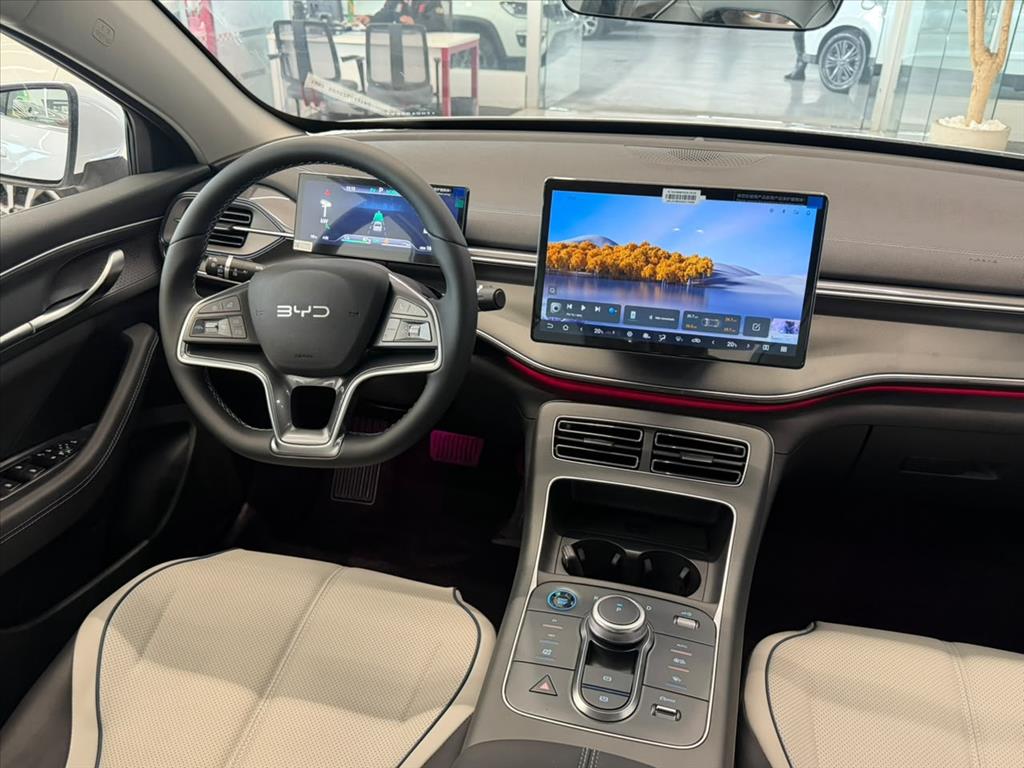 KING 1.5 DM-I PHEV GS AUTOMÁTICO8