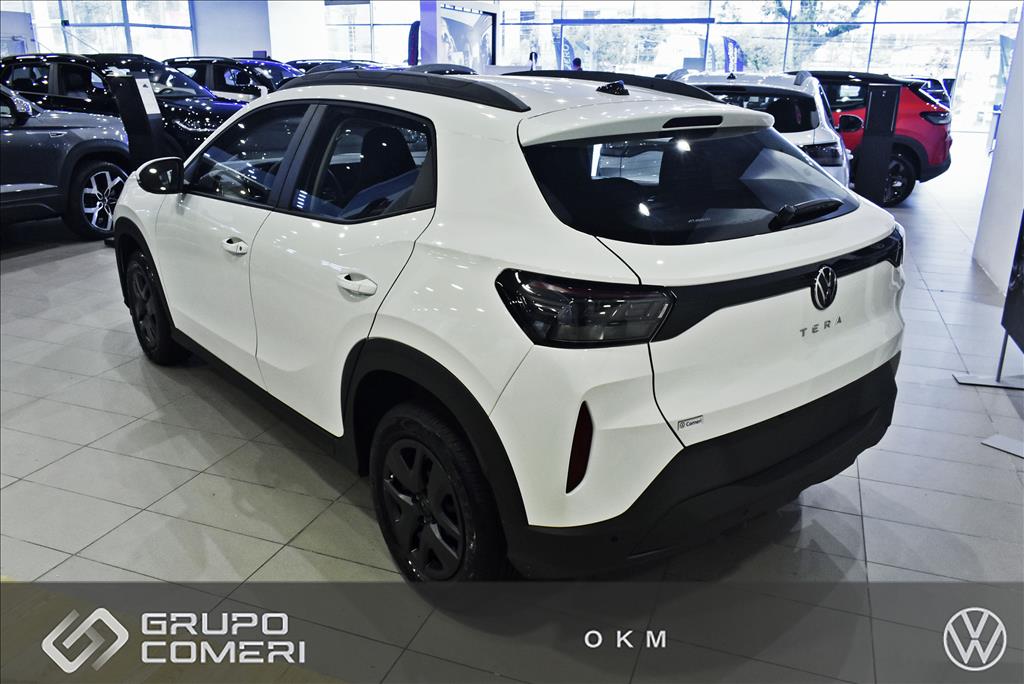 TERA 1.0 MPI MANUAL3