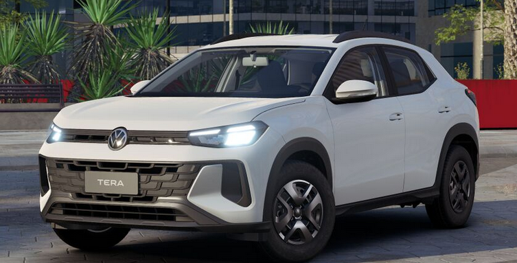 TERA 1.0 MPI MANUAL