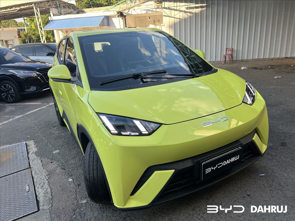 DOLPHIN MINI 38 KW ELÉTRICO2