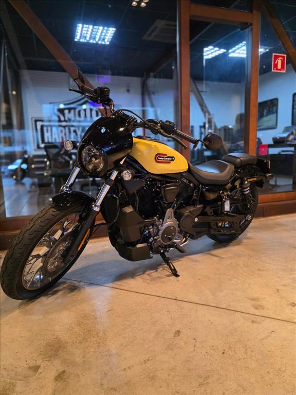 NIGHTSTER SPECIAL