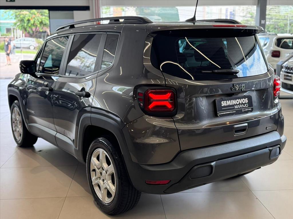 RENEGADE 1.3 T270 TURBO FLEX AT611