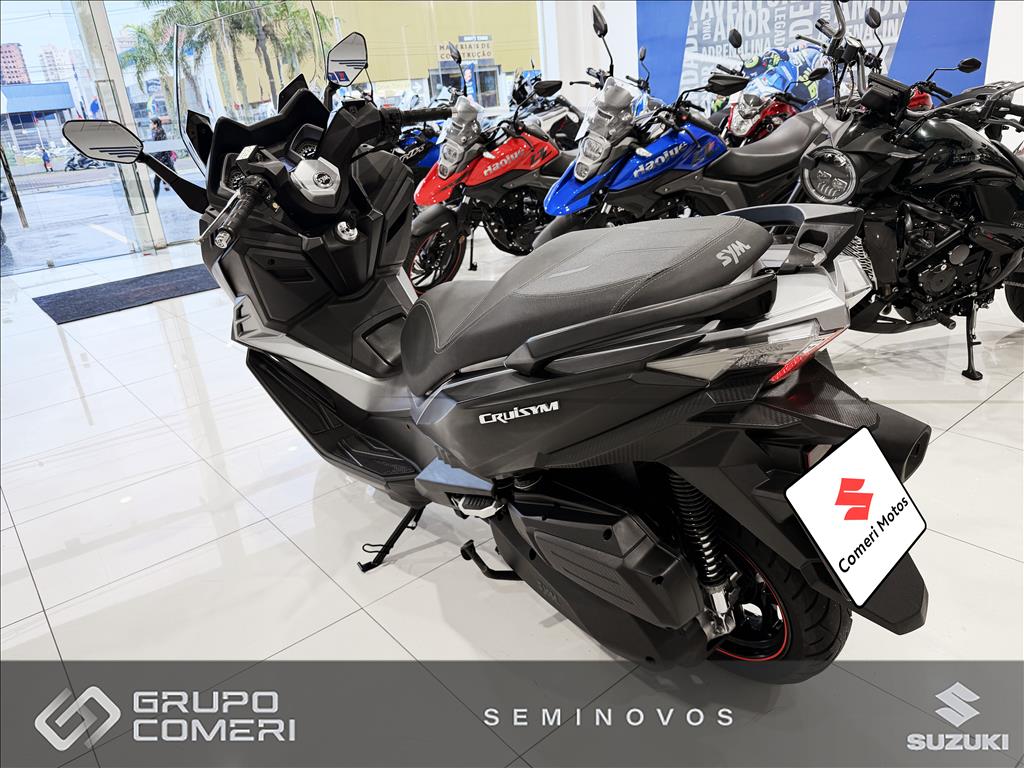 CRUISYM 3001
