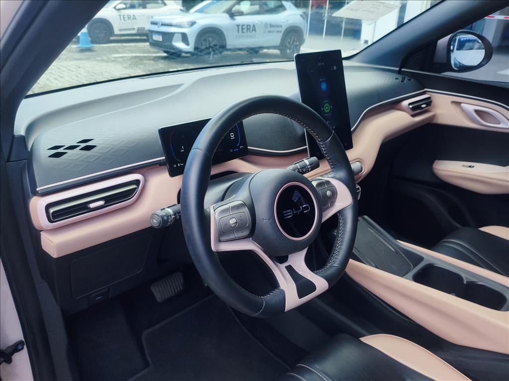 DOLPHIN MINI 38 KW ELÉTRICO8