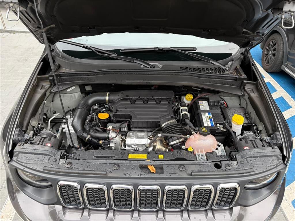 RENEGADE 1.3 T270 TURBO FLEX LONGITUDE AT619