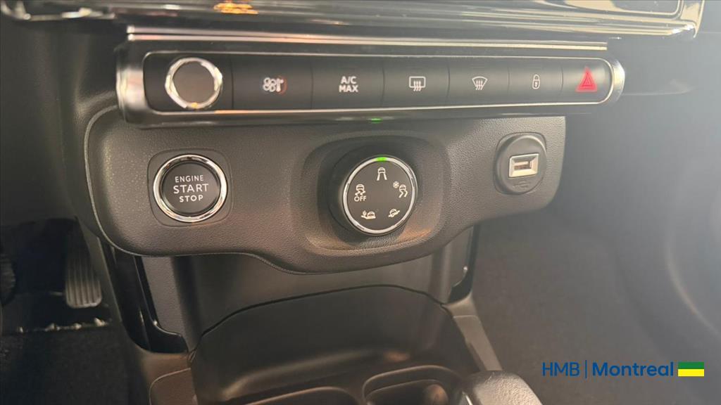 C4 CACTUS 1.6 THP FLEX SHINE PACK EAT615