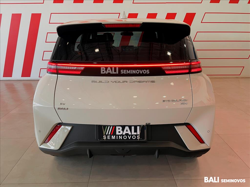 DOLPHIN MINI 38 KW ELÉTRICO5