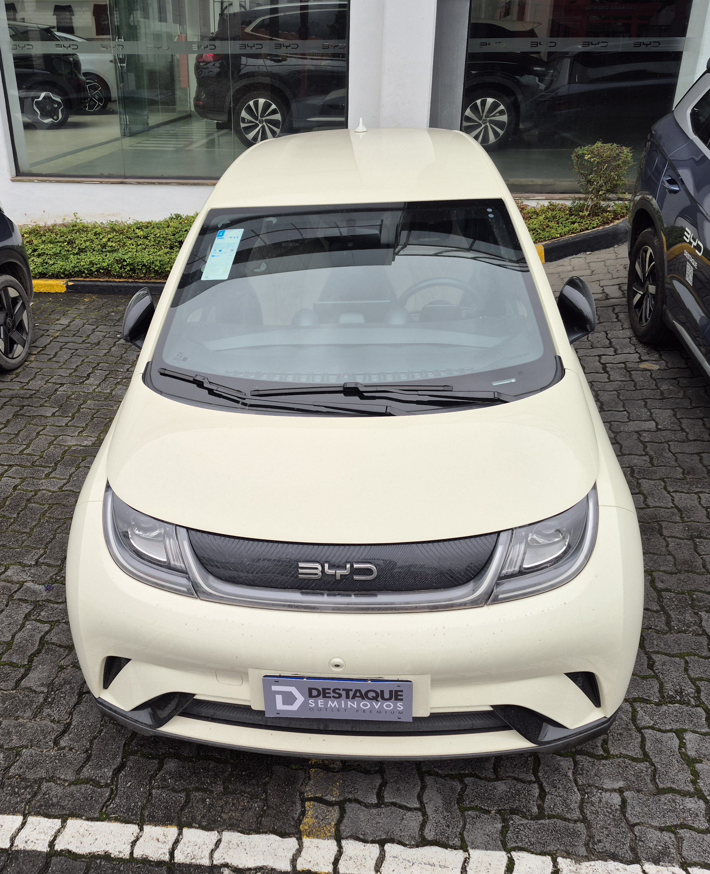 Imagem ilustrativa BYD DOLPHIN