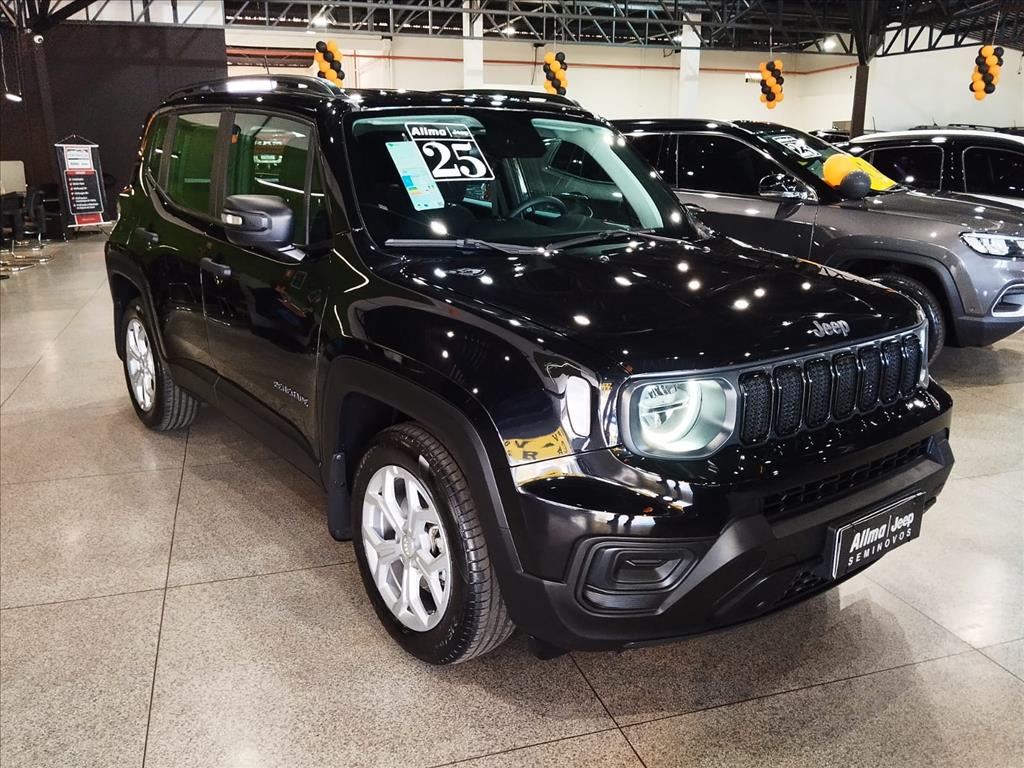 RENEGADE 1.3 T270 TURBO FLEX AT62