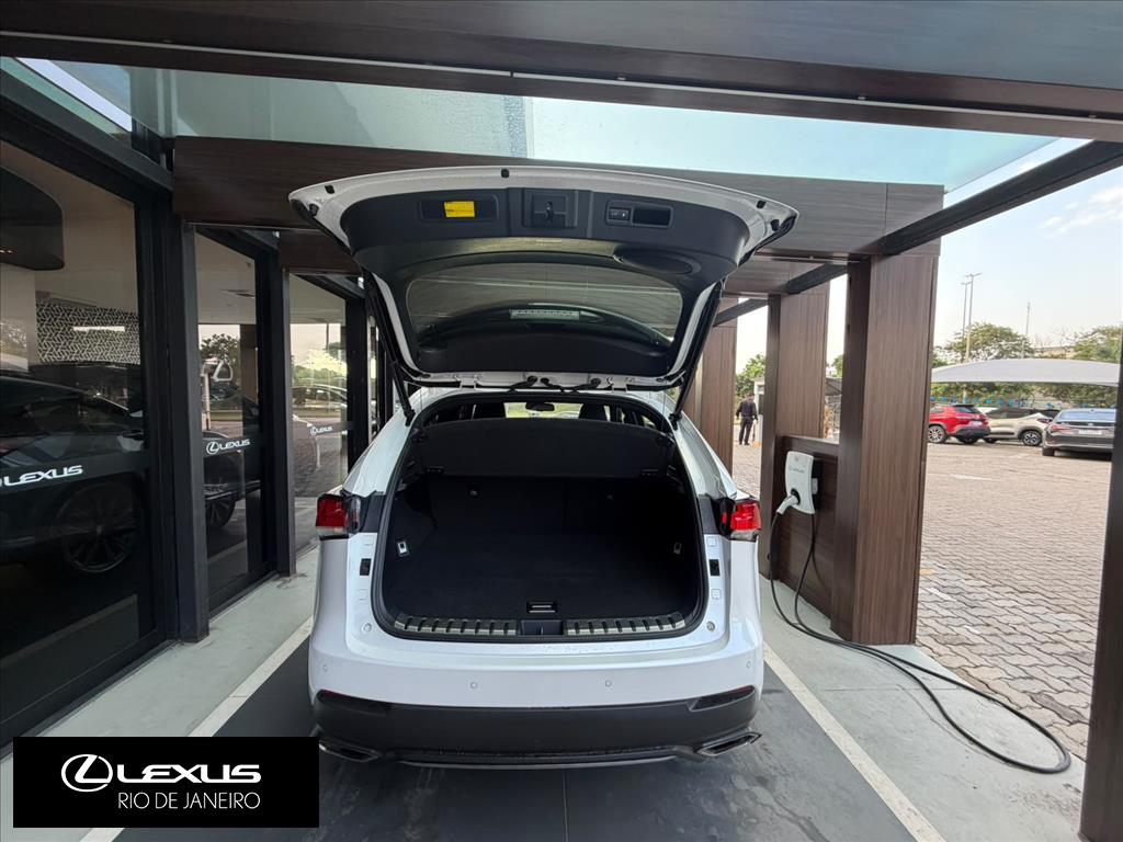 NX 300 2.0 16V VVT-i TURBO GASOLINA F-SPORT 6A/T AWD4
