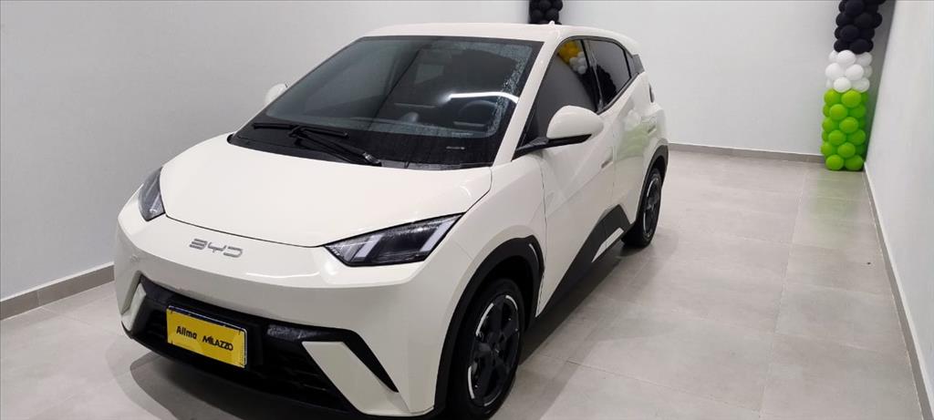 DOLPHIN MINI 38 KW ELÉTRICO1