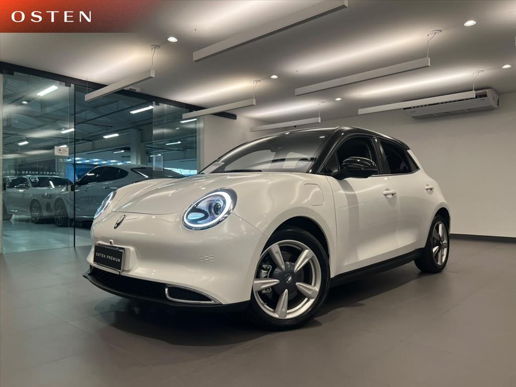 58 KW ELÉTRICO BEV58